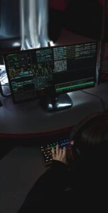 WEB  APPLICATION DEVELOPMENT