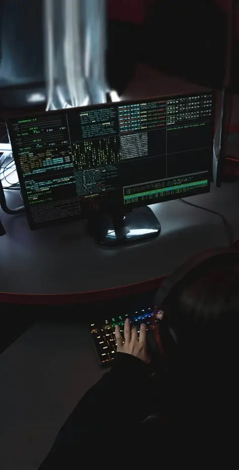 WEB  APPLICATION DEVELOPMENT